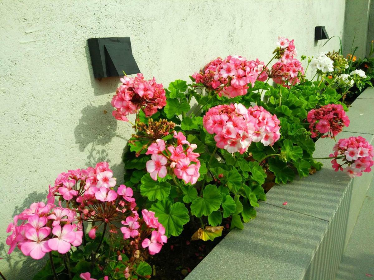 Idyllic Vista Apartment Huduhumpola Екстериор снимка